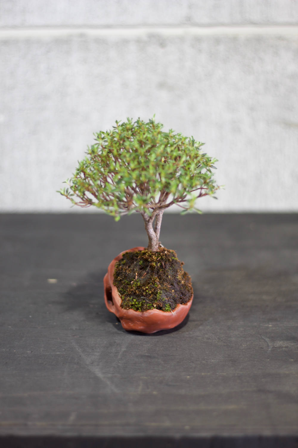 小物 盆栽台 超絶技巧 銘有 レトロ 小物 盆栽台 超絶技巧 銘有 レトロ 小物 盆栽台 超絶技巧 銘有